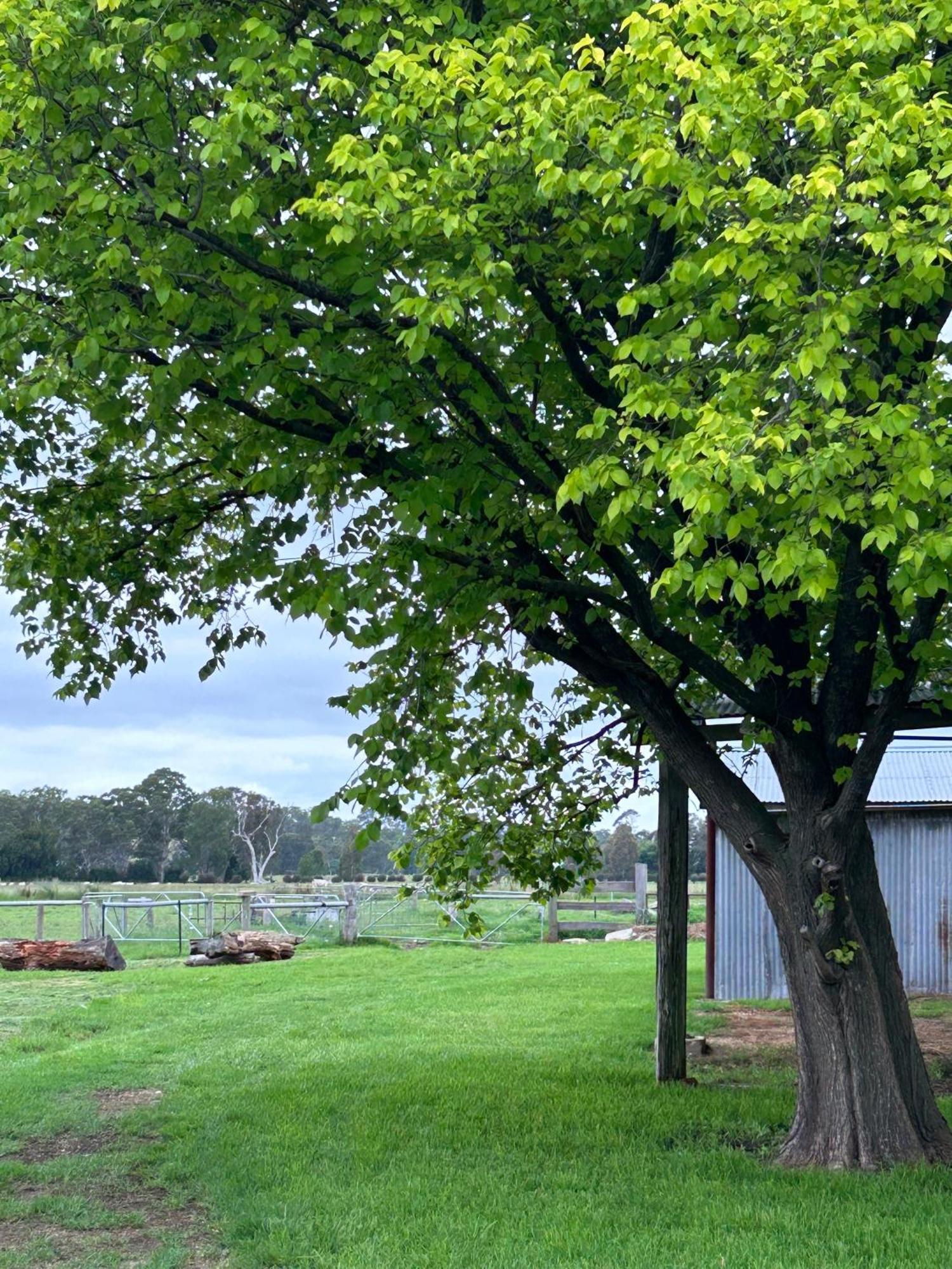 Grassvale Farms Retreat - Holiday home Lindenow