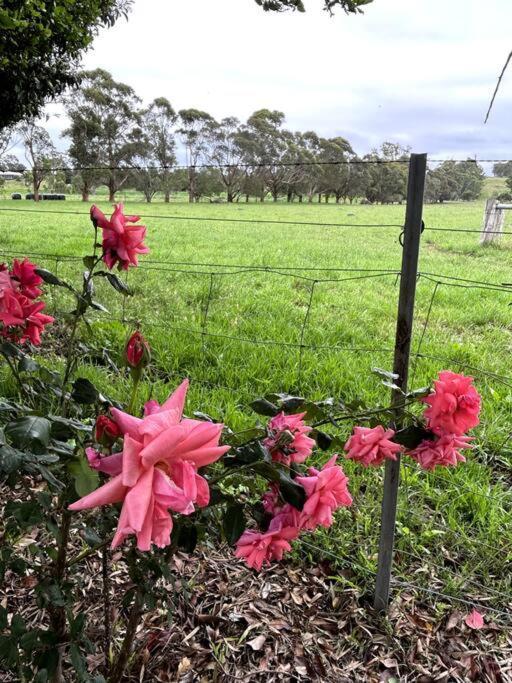Grassvale Farms Retreat - * Lindenow